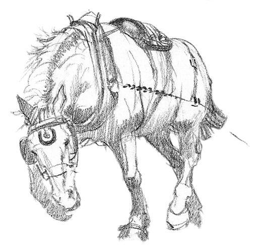 Jean Abernethy plow horse drawing